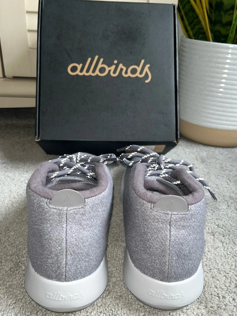 allbirds nib men’s